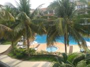 Top Arpora