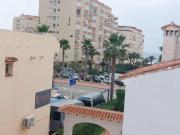 Top Torrox