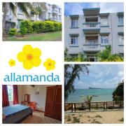 Allamanda Apartments - 100m Bain Boeuf Beach