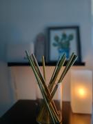 Top Bagnone Top Bagnone