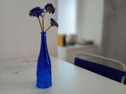 Top Bagnone Top Bagnone