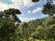 Top Balik Pulau