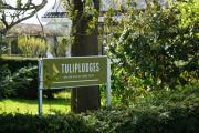Tulip Lodges