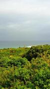 Top Hibberdene