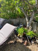 Top La Cadière-dʼAzur