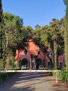 Top Ponte Lucano Top Ponte Lucano