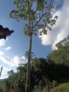 Cabana Refúgio das Águas