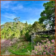 Top Da Lat