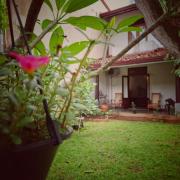 Room by the MANGO TREE