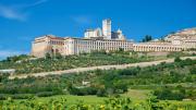 Top Assisi