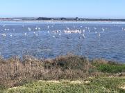 Top Langebaan