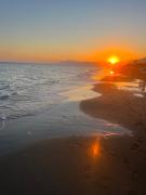 Top Marbella