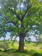 Top San Severino Marche