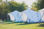 BlueCAMP Oerol26- Tent&Breakfast