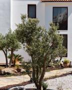 Top Bodrum City Top Bodrum City