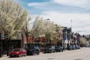 Top Libertyville