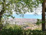 Top Colonnella