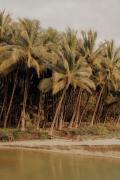 Top Playa hermosa