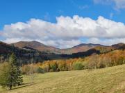 Top Dwerniczek Top Dwerniczek