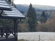 Top Dwerniczek Top Dwerniczek