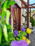 Top Săliştea de Sus