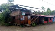 Top Coquí
