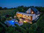 Riverside pool villa-Sremski Karlovci