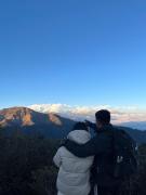 Honey nest Honey nest