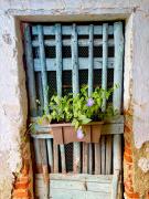 Top Brovello-Carpugnino