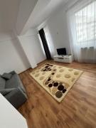 Campus Apartment Oasis