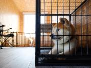 ＳＡＫＡＴＡＮＴＯ Ｃｏｎｔａｉｎｅｒ Ｈｏｔｅｌ ＣＡＭＰＳ - Vacation STAY 31777v