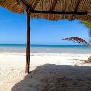 Top Campeche Top Campeche