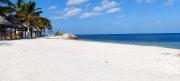 Top Campeche