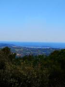 Les Restanques Charmante petite maison nature et calme Grasse
