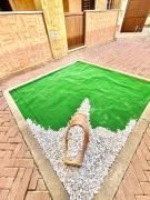 Top Donigala Fenughedu