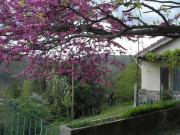 Maison accueillante à Saint-Martin-de-Boubaux, jardin agréable Maison accueillante à Saint-Martin-de-Boubaux, jardin agréable