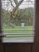 Top Aubigny-sur-Nère