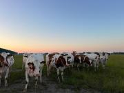 Luxe stal appartement