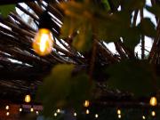 Nylstroom Guesthouse