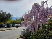 Agriturismo San GIovanni Ad Insulam
