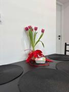 Top Zwierzyniec Top Zwierzyniec