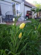 A papa háza vendégház