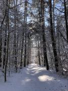 Top Niesulice Top Niesulice