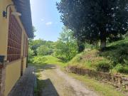 Viva House Viva House