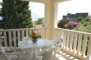 Top Budva