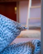 Top Champéry Top Champéry