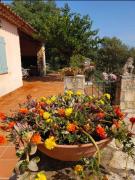 Top Saint-Maximin-la-Sainte-Baume