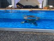 Top Świnoujście Top Świnoujście