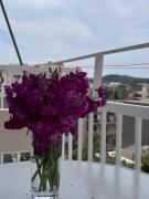 Top Athens Top Athens