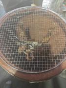 Top Ấp Phú Hiệp